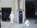 IMGP3178.JPG